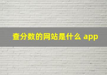 查分数的网站是什么 app